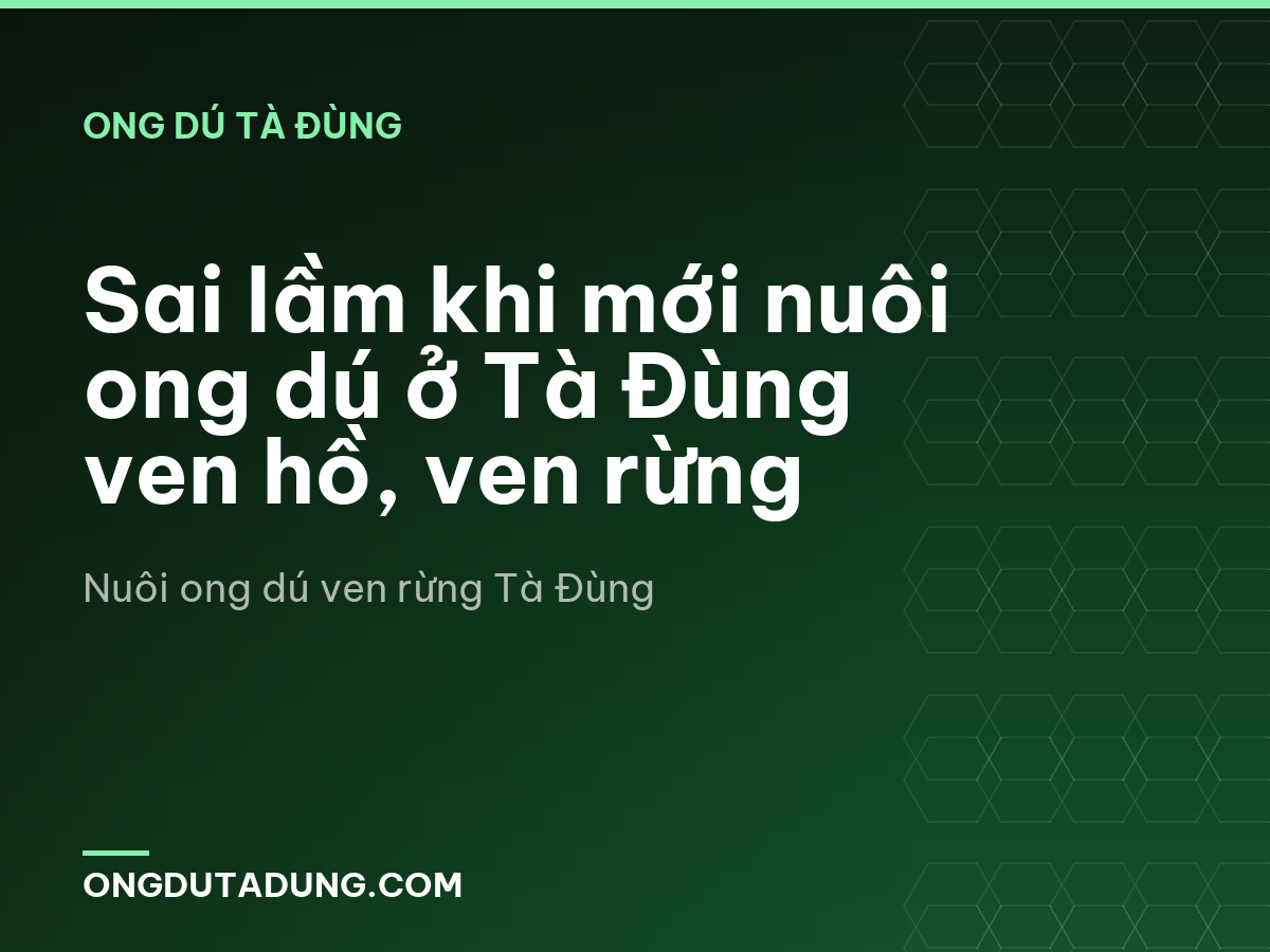 Sai lầm khi mới nuôi ong dú ở Tà Đùng ven hồ, ven rừng