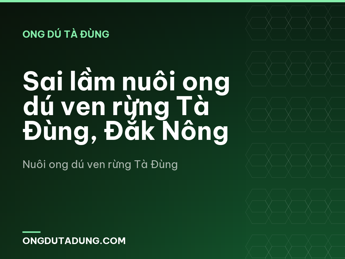 Sai lầm nuôi ong dú ven rừng Tà Đùng, Đắk Nông