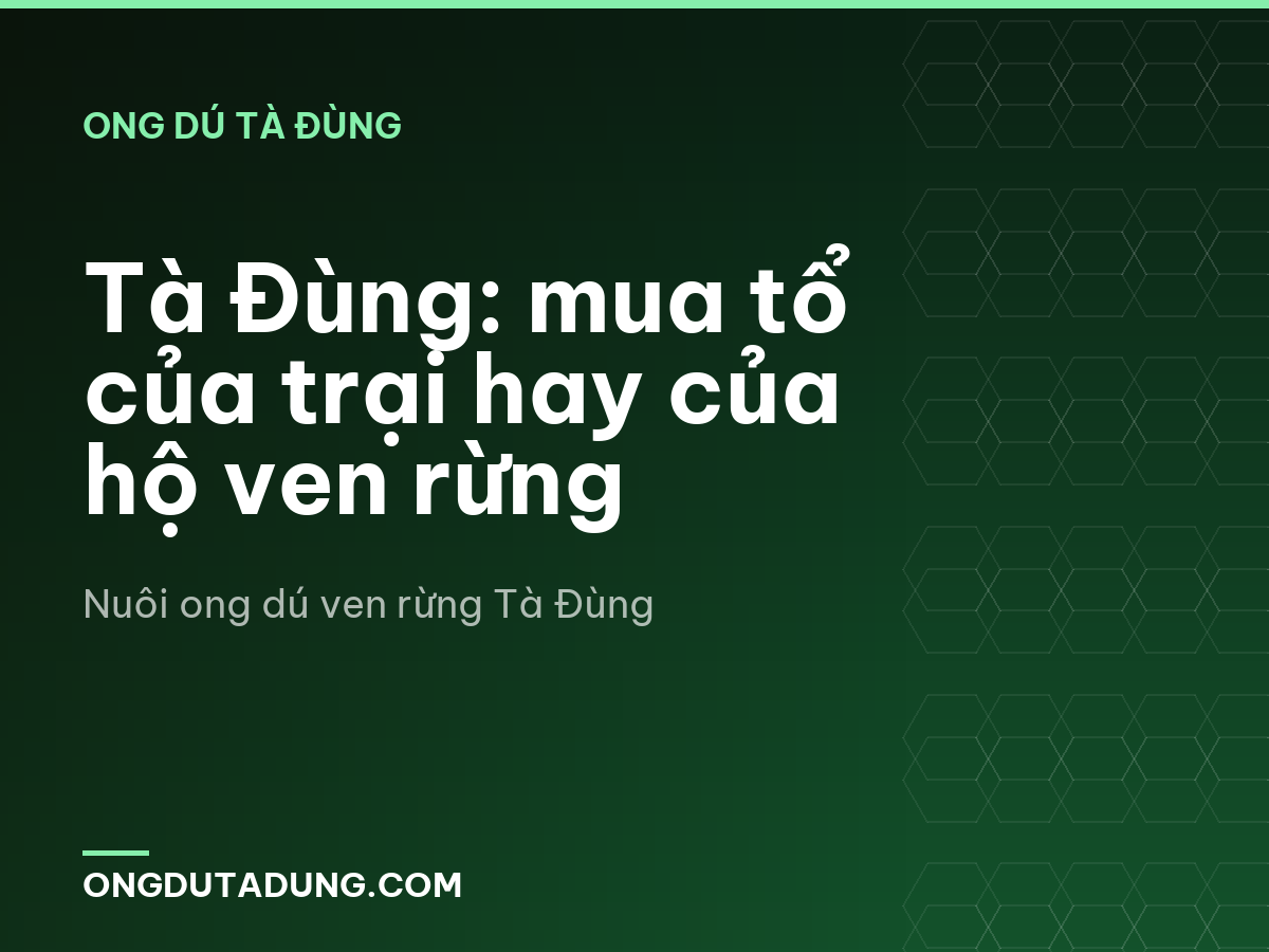 Tà Đùng: mua tổ của trại hay của hộ ven rừng