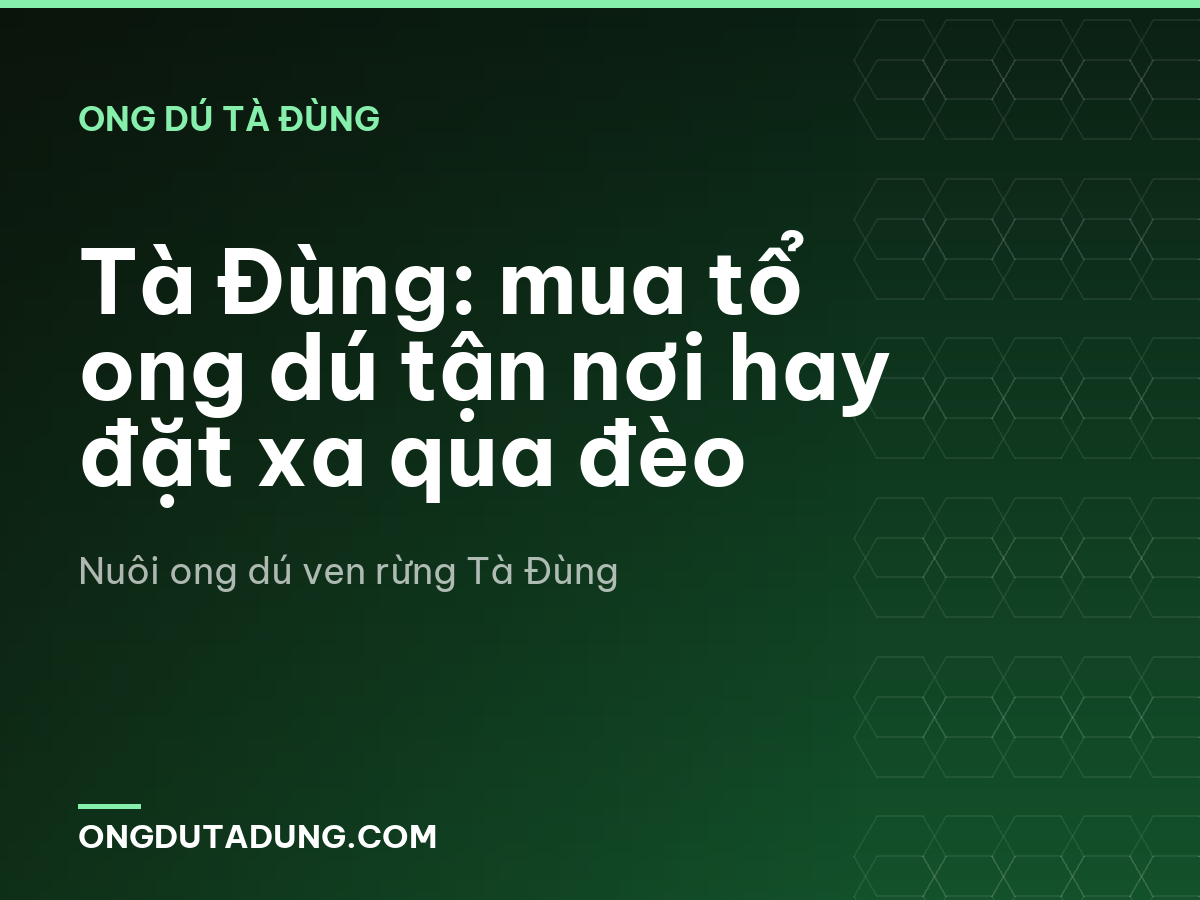 Tà Đùng: mua tổ ong dú tận nơi hay đặt xa qua đèo