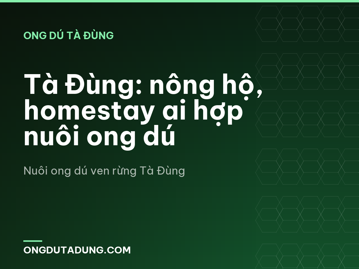 Tà Đùng: nông hộ, homestay ai hợp nuôi ong dú