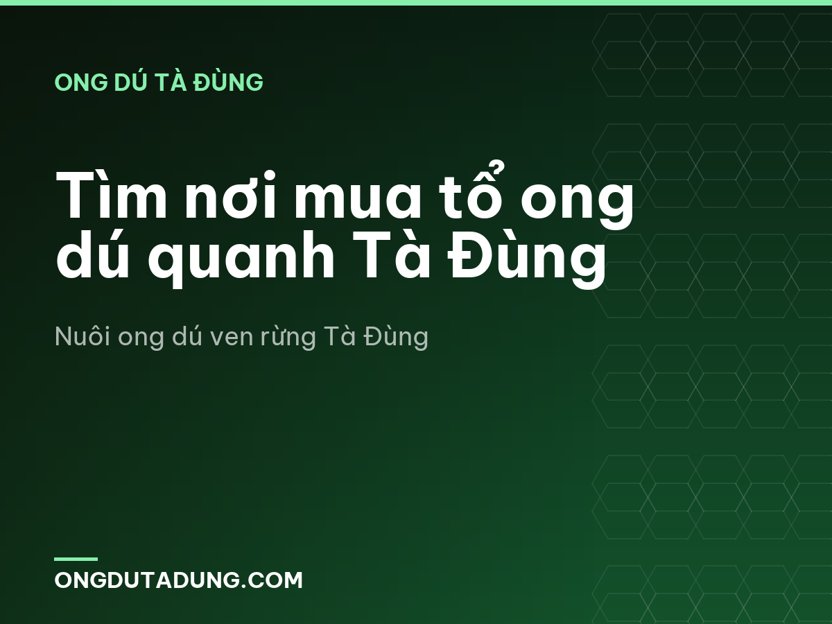 Tìm nơi mua tổ ong dú quanh Tà Đùng
