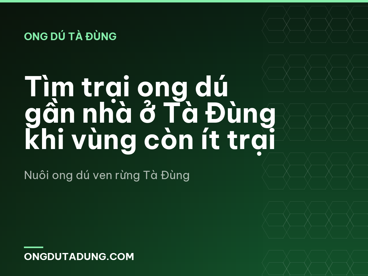 Tìm trại ong dú gần nhà ở Tà Đùng khi vùng còn ít trại