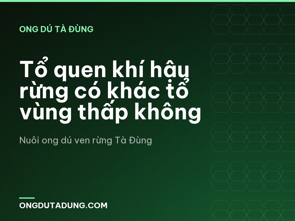 Tổ quen khí hậu rừng có khác tổ vùng thấp không