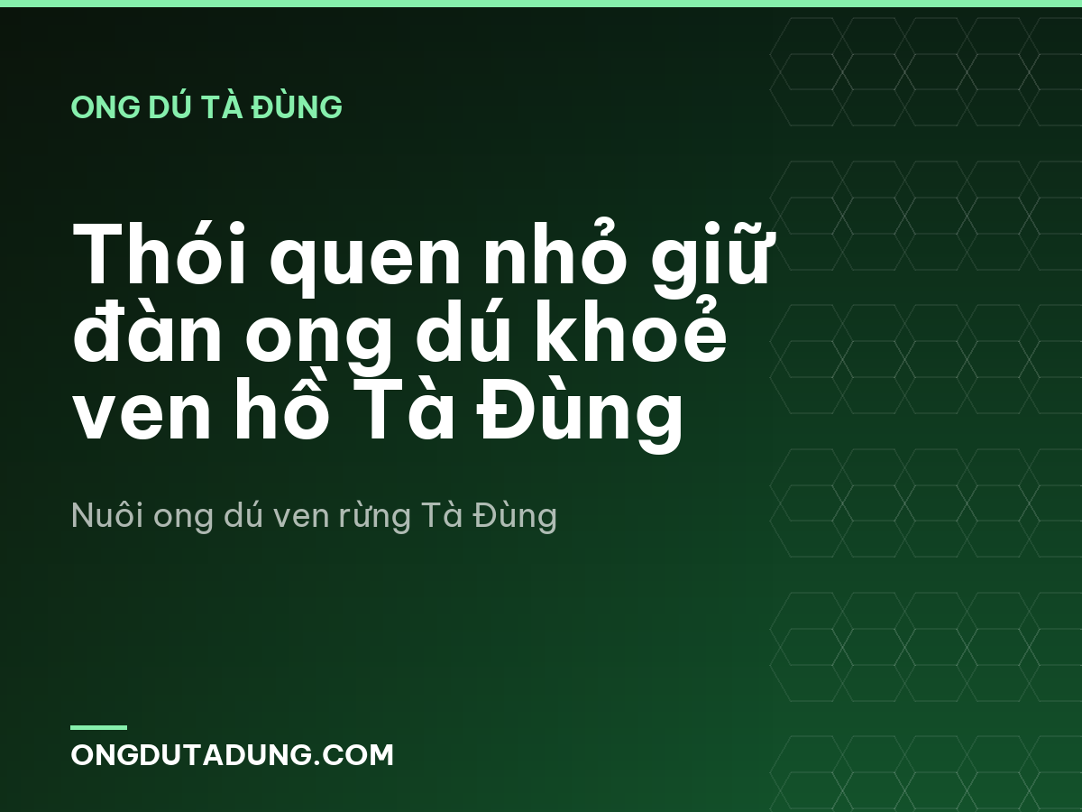 Thói quen nhỏ giữ đàn ong dú khoẻ ven hồ Tà Đùng