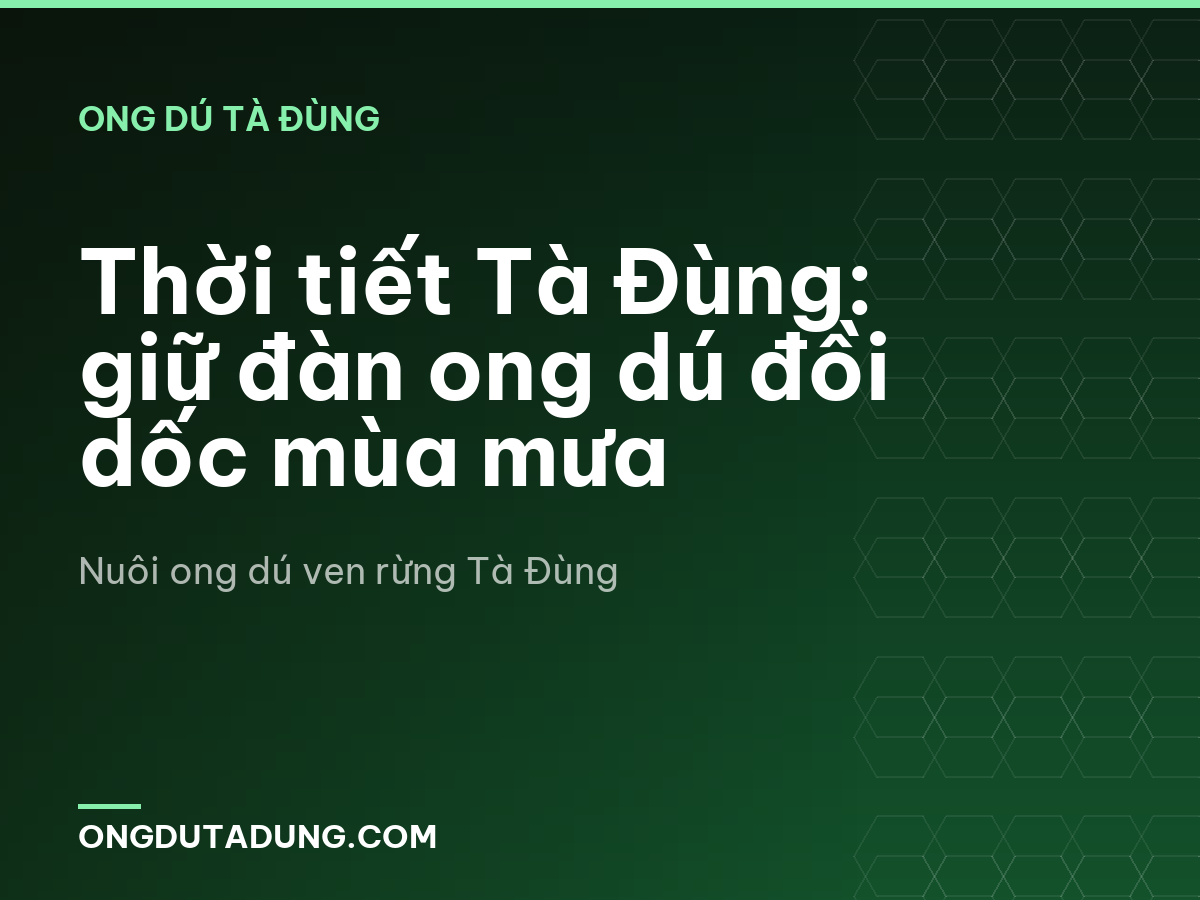 Thời tiết Tà Đùng: giữ đàn ong dú đồi dốc mùa mưa