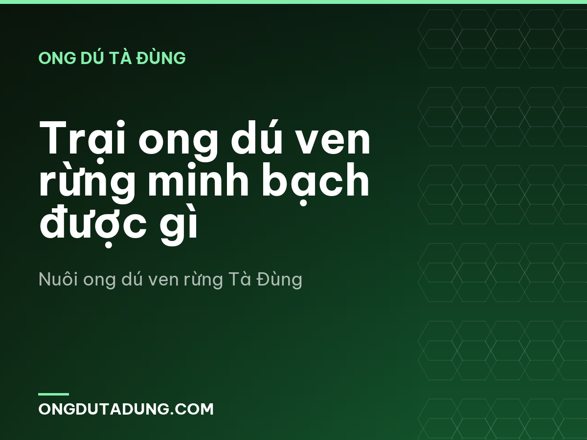 Trại ong dú ven rừng minh bạch được gì