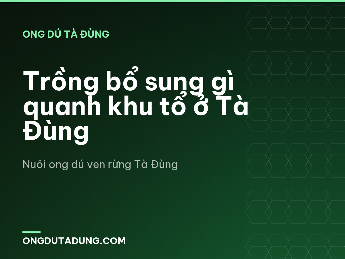 Trồng bổ sung gì quanh khu tổ ở Tà Đùng