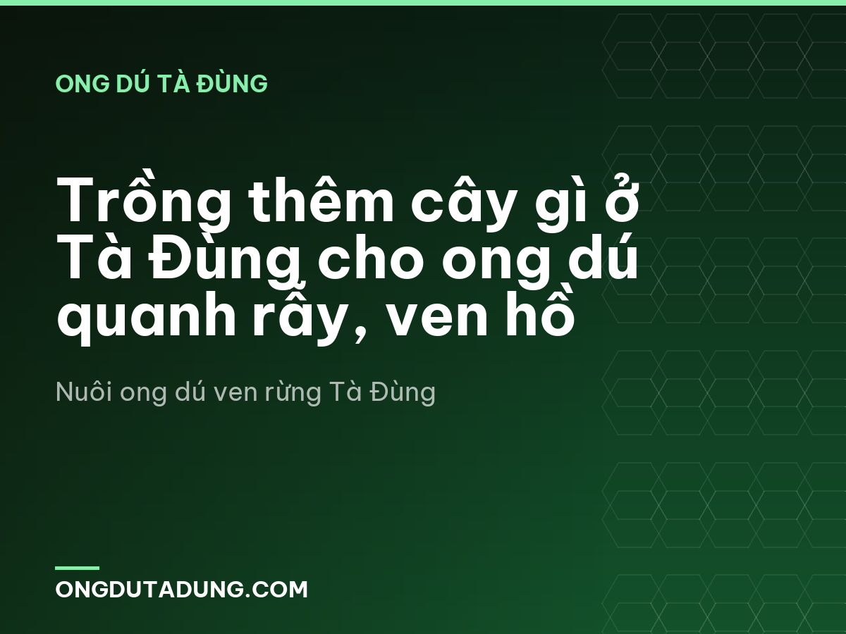 Trồng thêm cây gì ở Tà Đùng cho ong dú quanh rẫy, ven hồ