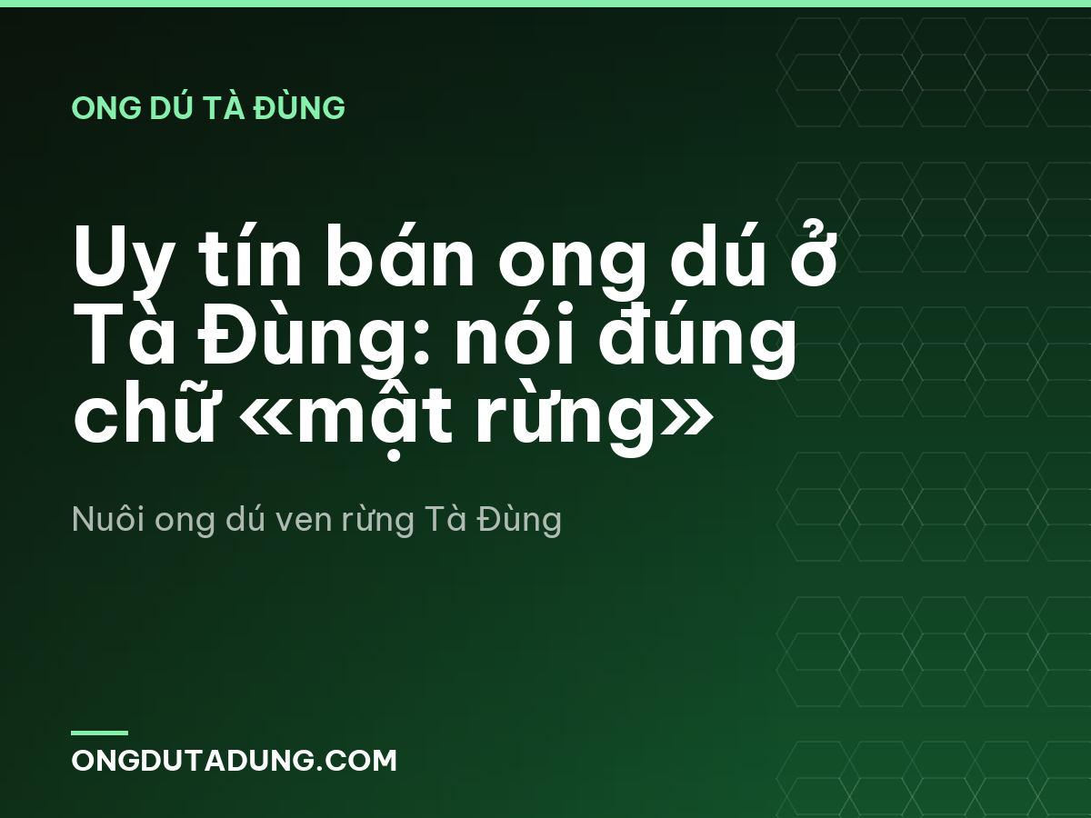 Uy tín bán ong dú ở Tà Đùng: nói đúng chữ «mật rừng»