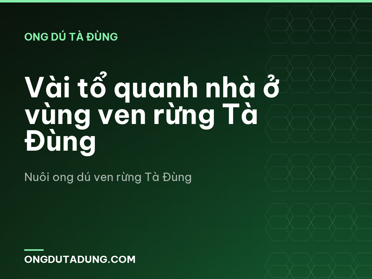Vài tổ quanh nhà ở vùng ven rừng Tà Đùng