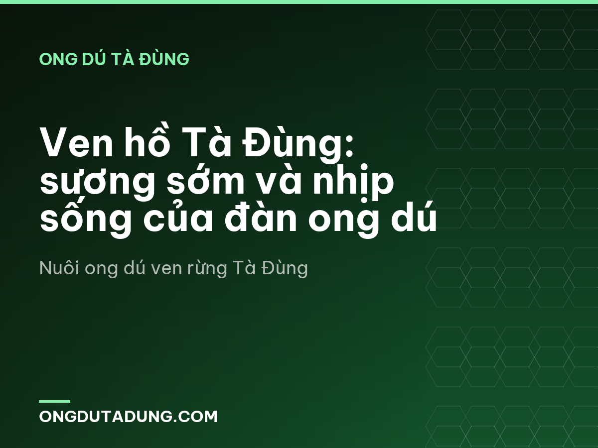 Ven hồ Tà Đùng: sương sớm và nhịp sống của đàn ong dú