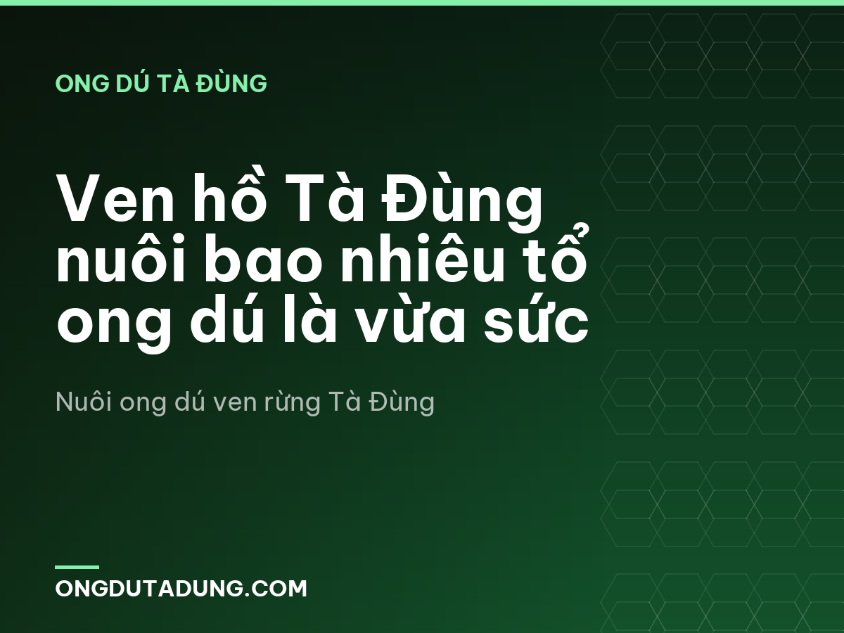 Ven hồ Tà Đùng nuôi bao nhiêu tổ ong dú là vừa sức