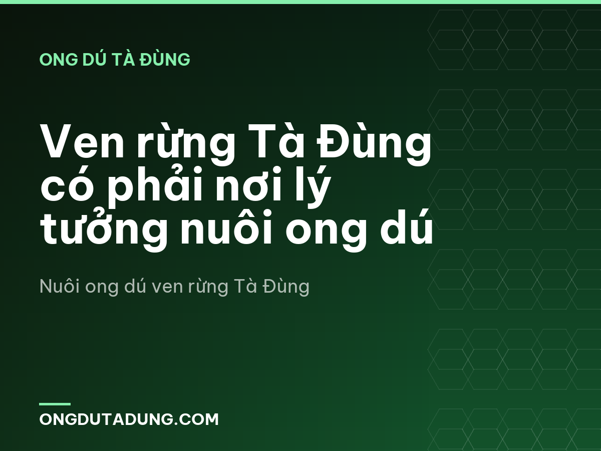 Ven rừng Tà Đùng có phải nơi lý tưởng nuôi ong dú