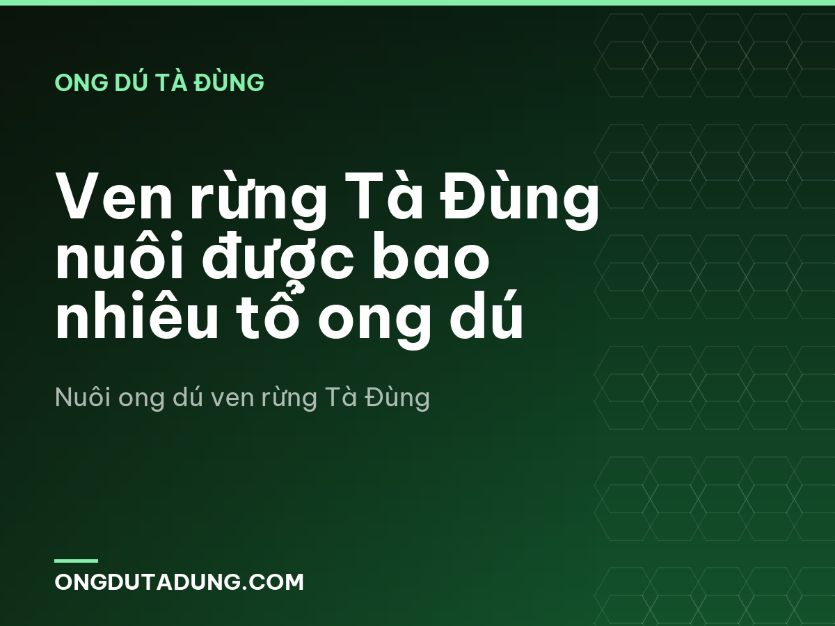 Ven rừng Tà Đùng nuôi được bao nhiêu tổ ong dú