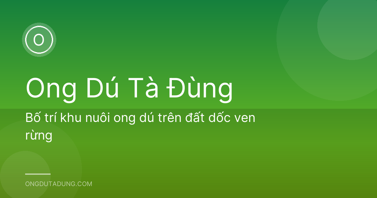 Bố trí khu nuôi ong dú trên đất dốc ven rừng