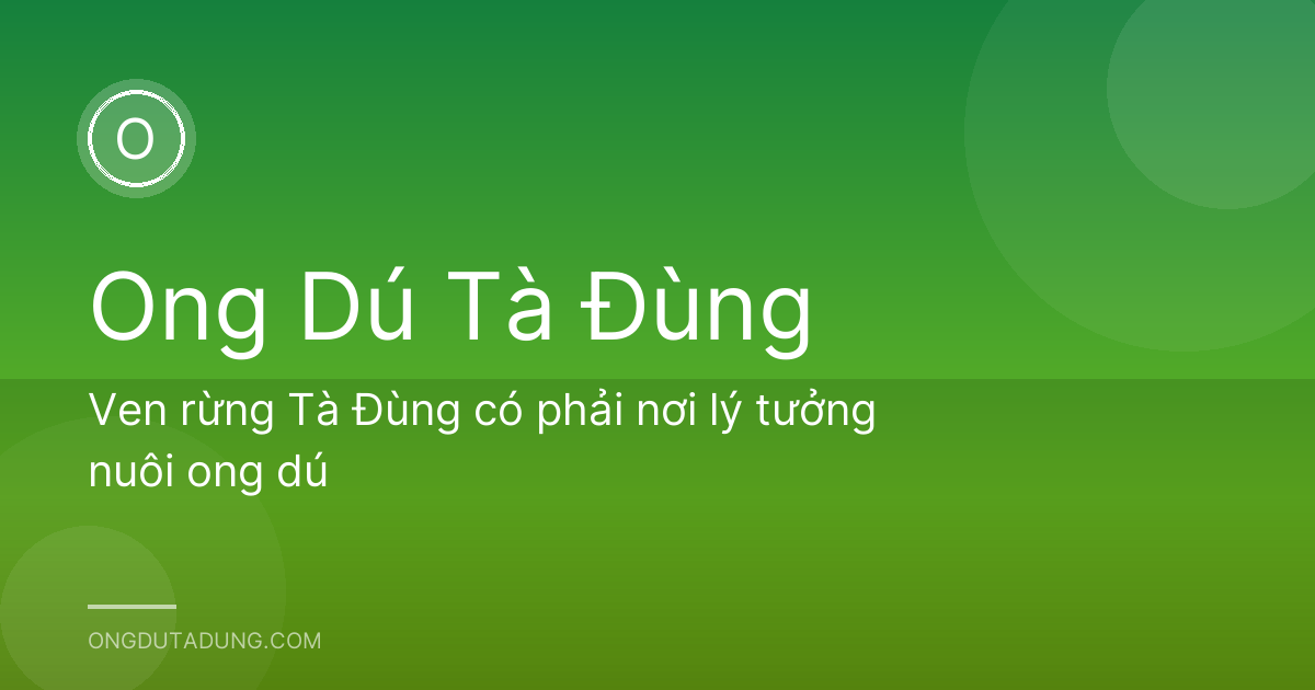 Ven rừng Tà Đùng có phải nơi lý tưởng nuôi ong dú