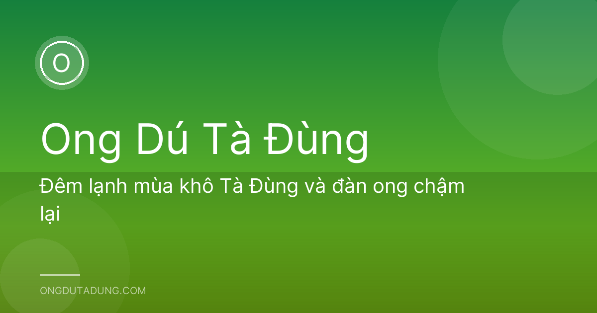 Đêm lạnh mùa khô Tà Đùng và đàn ong chậm lại