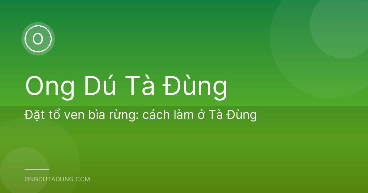 Đặt tổ ven bìa rừng: cách làm ở Tà Đùng