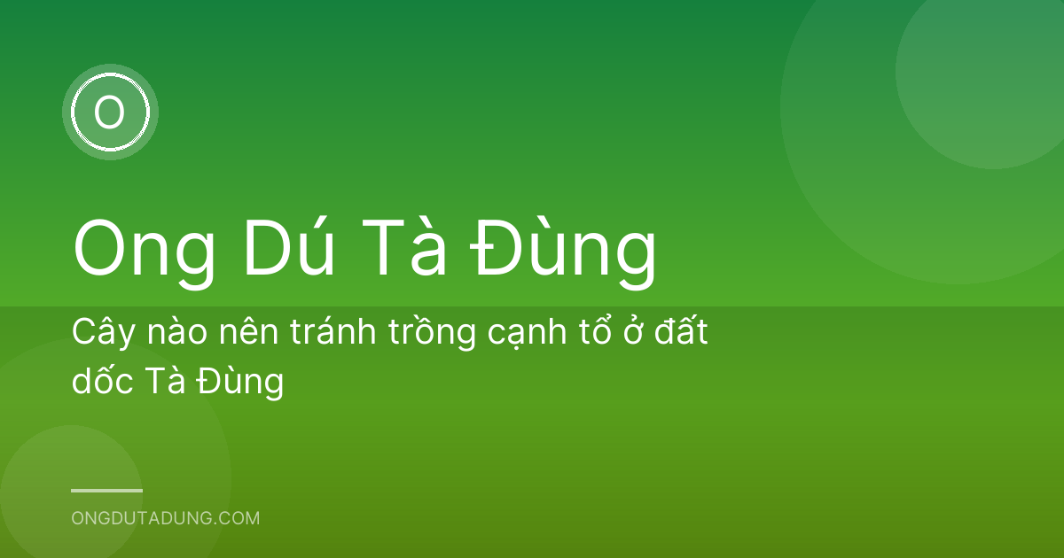 Cây nào nên tránh trồng cạnh tổ ở đất dốc Tà Đùng