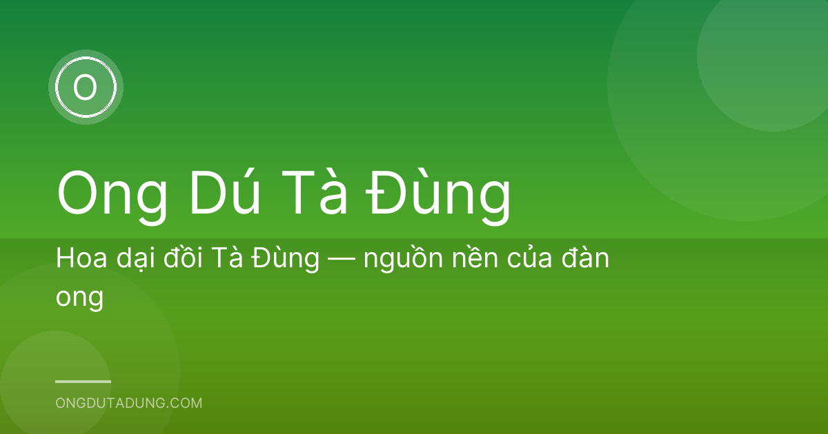 Hoa dại đồi Tà Đùng — nguồn nền của đàn ong