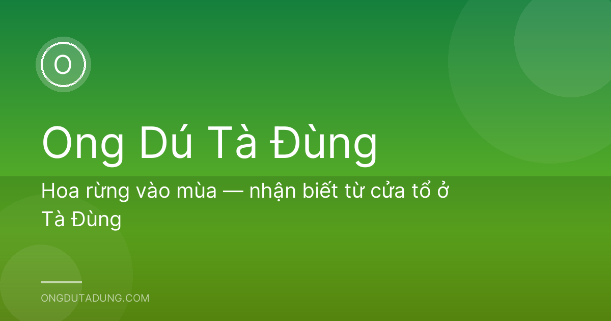 Hoa rừng vào mùa — nhận biết từ cửa tổ ở Tà Đùng