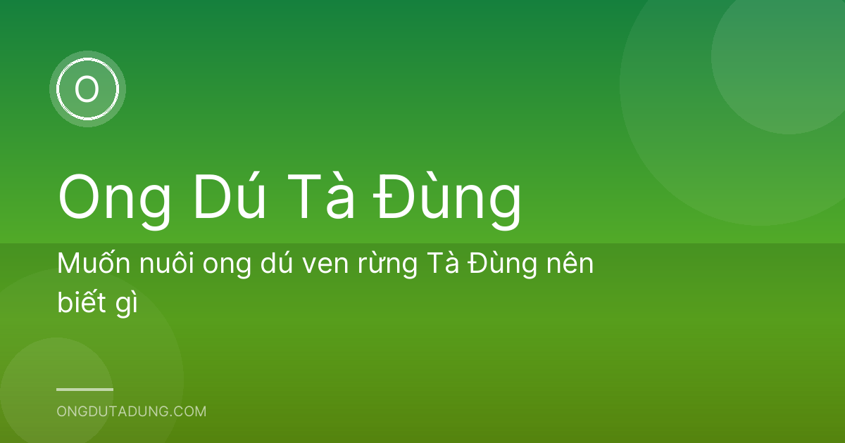 Muốn nuôi ong dú ven rừng Tà Đùng nên biết gì