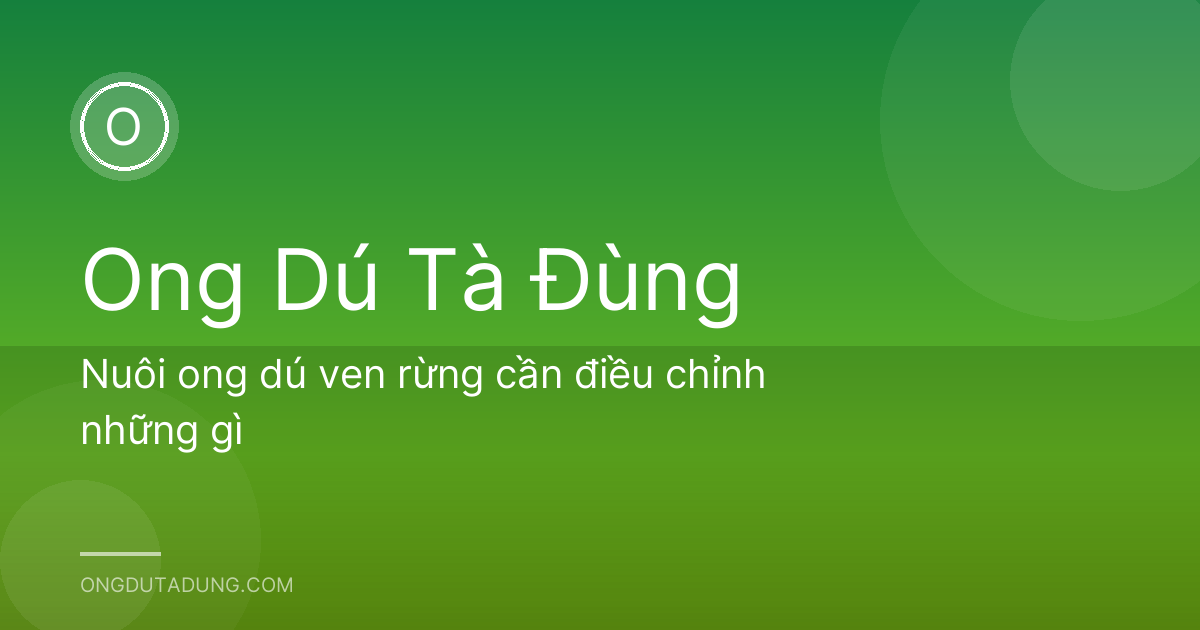 Nuôi ong dú ven rừng cần điều chỉnh những gì