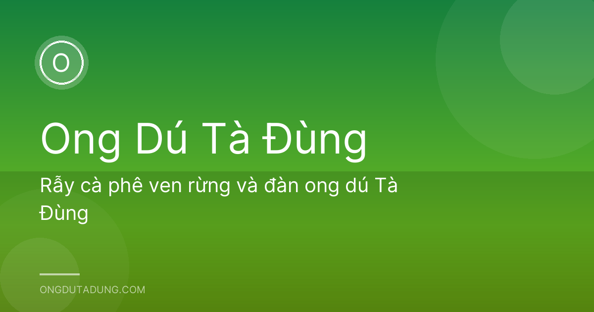 Rẫy cà phê ven rừng và đàn ong dú Tà Đùng