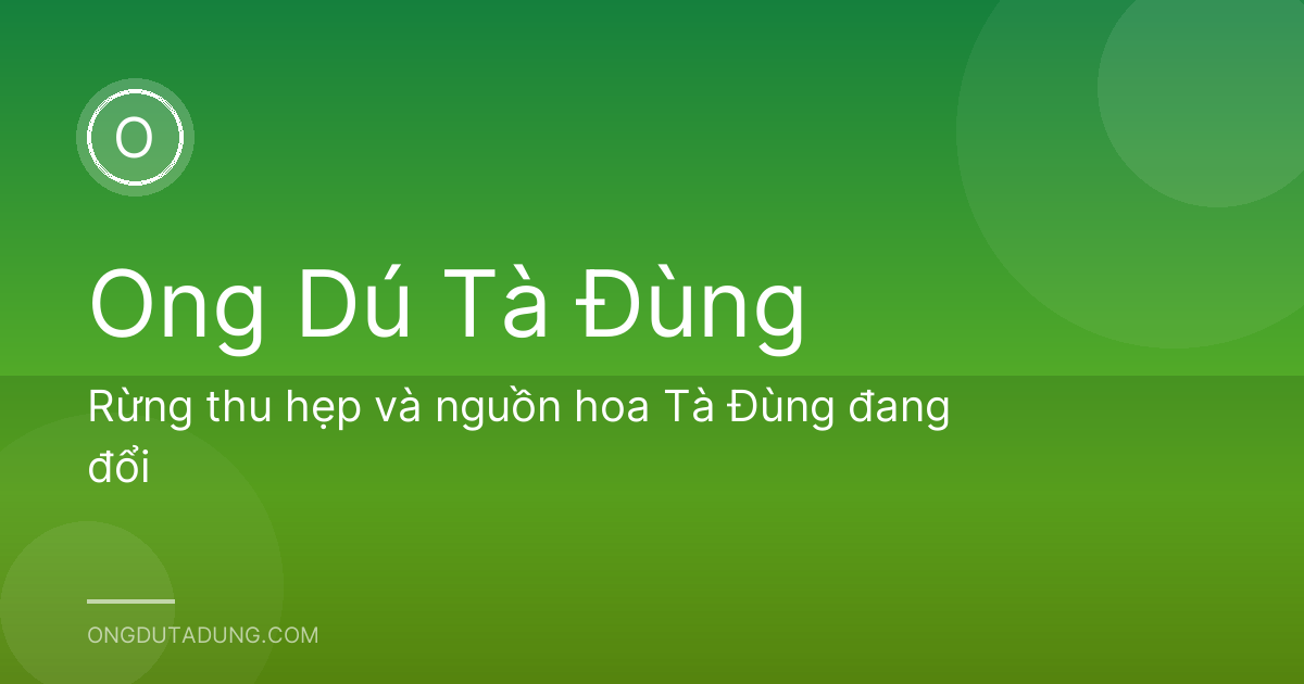 Rừng thu hẹp và nguồn hoa Tà Đùng đang đổi