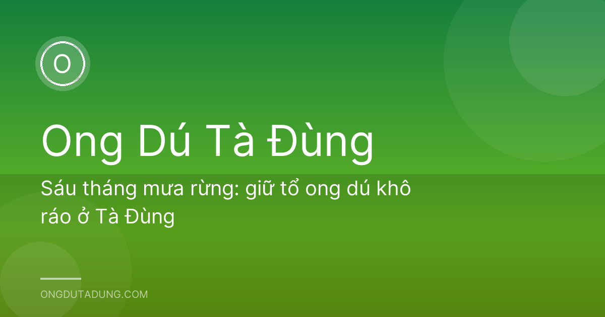 Sáu tháng mưa rừng: giữ tổ ong dú khô ráo ở Tà Đùng