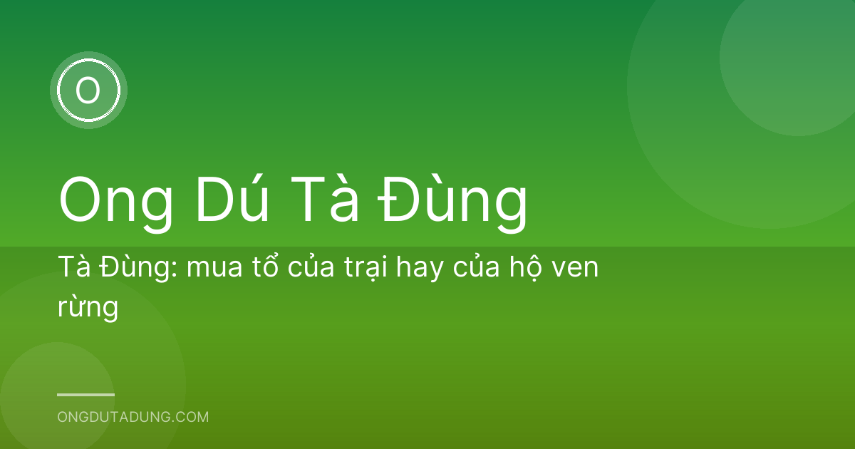 Tà Đùng: mua tổ của trại hay của hộ ven rừng