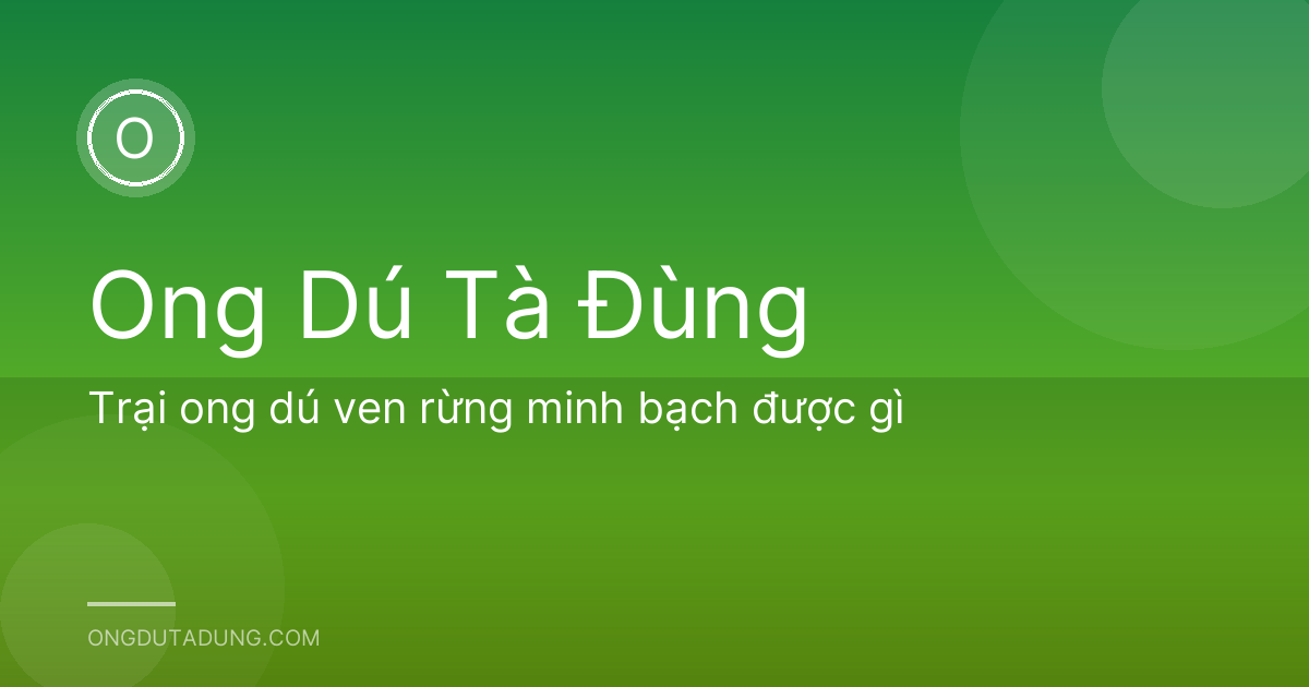 Trại ong dú ven rừng minh bạch được gì
