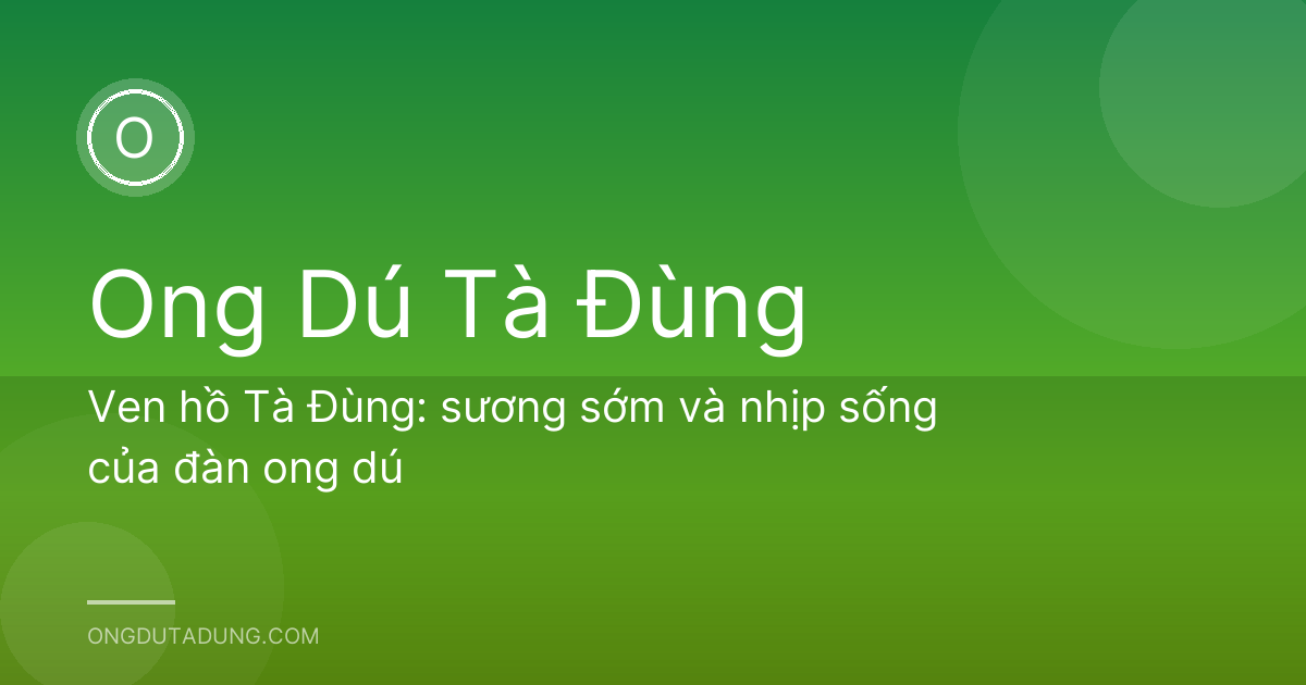 Ven hồ Tà Đùng: sương sớm và nhịp sống của đàn ong dú